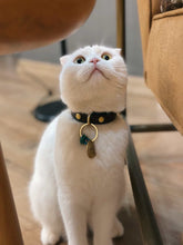 Görseli Galeri görüntüleyiciye yükleyin, Marley
