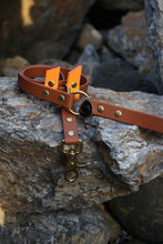 Load image into Gallery viewer, Hunter Dog Leash
