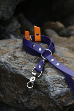 Load image into Gallery viewer, Hunter Dog Leash
