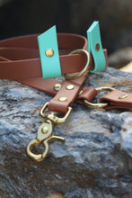 Load image into Gallery viewer, Hunter Dog Leash
