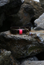 Load image into Gallery viewer, Hunter Large Dog Collar
