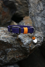 Load image into Gallery viewer, Hunter Large Dog Collar
