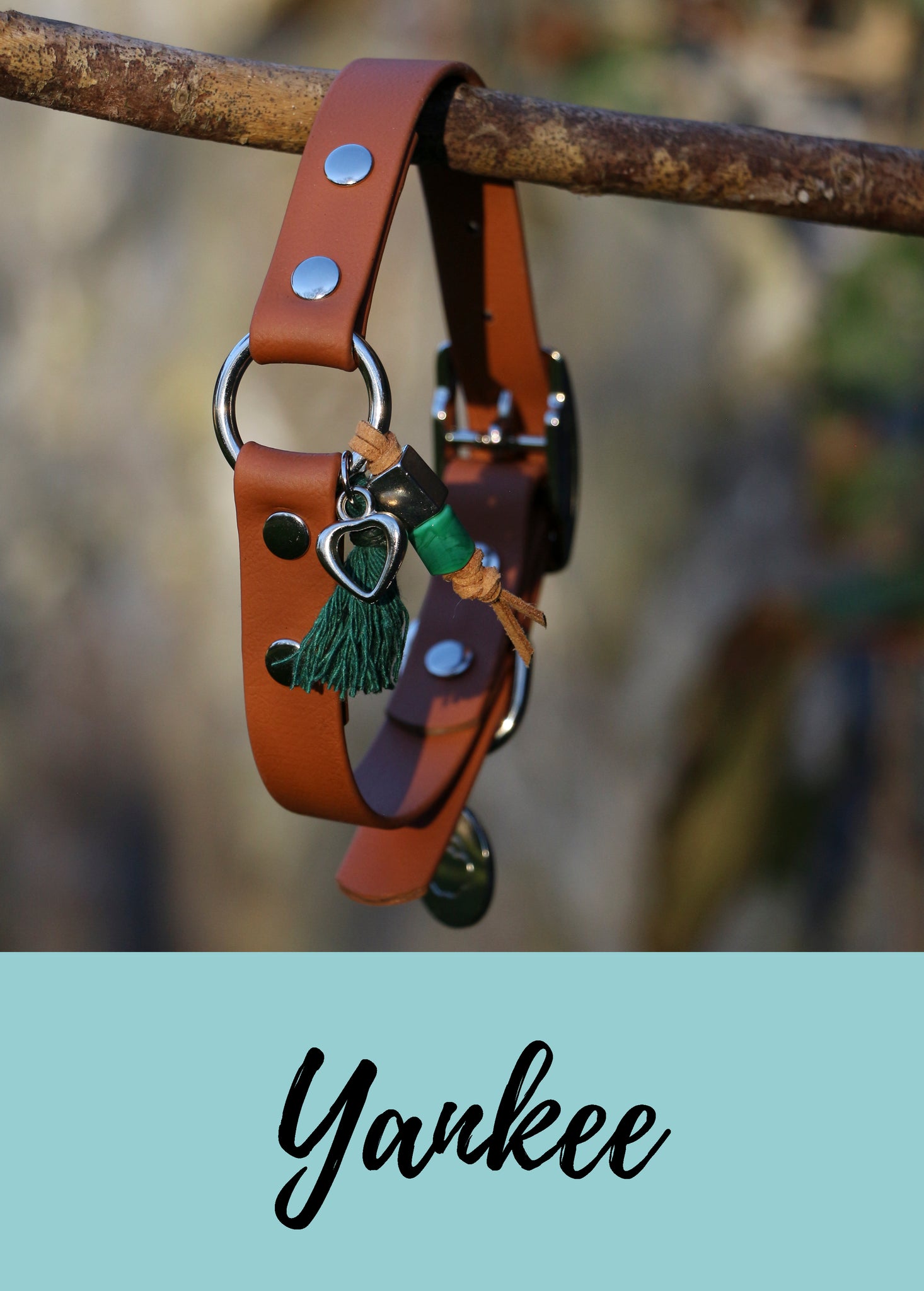 Yankee Köpek Tasması – The Morning Cloud - Main Image